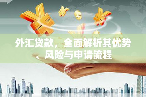 余庆外汇贷款，全面解析其优势、风险与申请流程