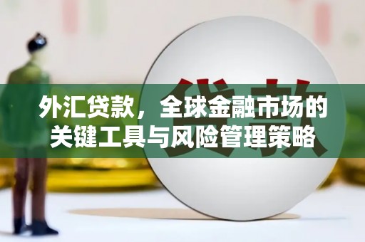 余庆外汇贷款，全球金融市场的关键工具与风险管理策略