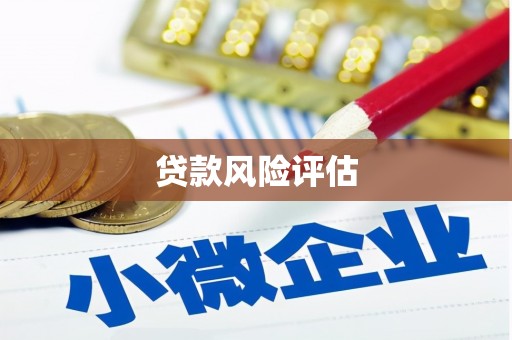 余庆贷款风险评估