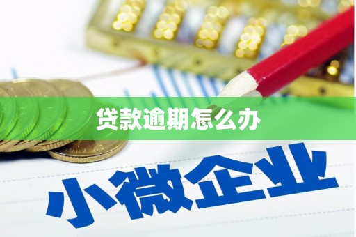 余庆贷款逾期怎么办
