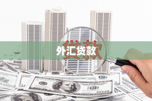 余庆外汇贷款