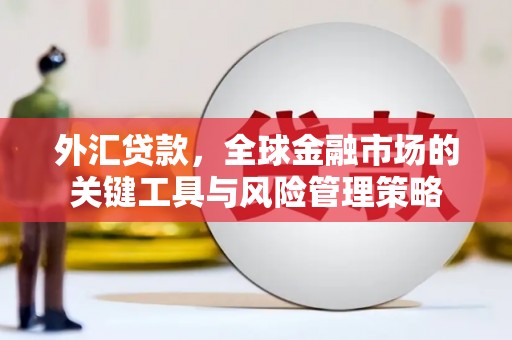 余庆外汇贷款，全球金融市场的关键工具与风险管理策略