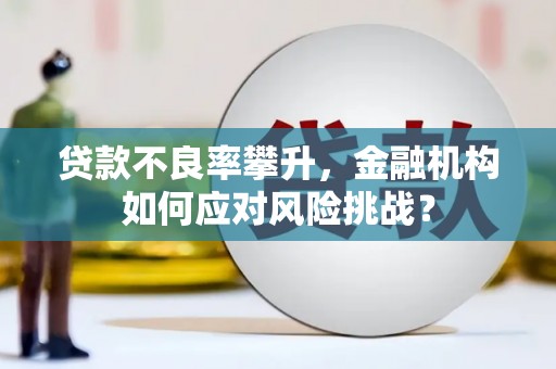 余庆贷款不良率攀升，金融机构如何应对风险挑战？