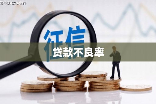 余庆贷款不良率