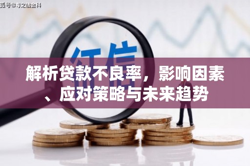 余庆解析贷款不良率，影响因素、应对策略与未来趋势