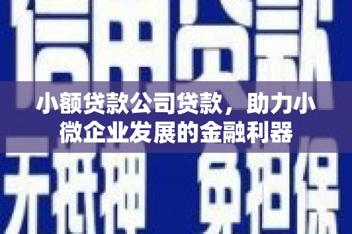 余庆小额贷款公司贷款，助力小微企业发展的金融利器