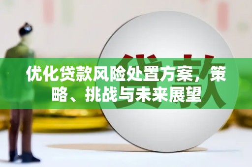 余庆优化贷款风险处置方案，策略、挑战与未来展望