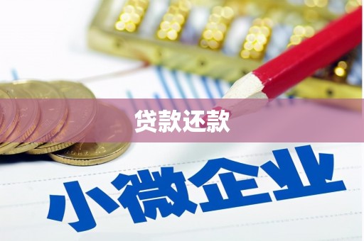余庆贷款还款