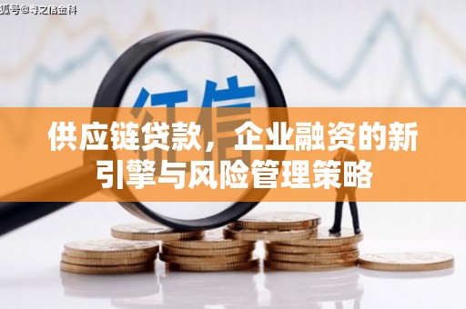余庆供应链贷款，企业融资的新引擎与风险管理策略