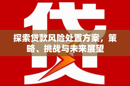 余庆探索贷款风险处置方案，策略、挑战与未来展望