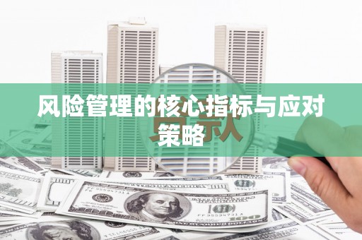 余庆风险管理的核心指标与应对策略