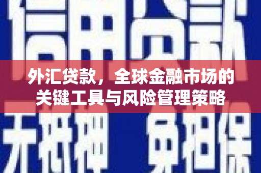 余庆外汇贷款，全球金融市场的关键工具与风险管理策略