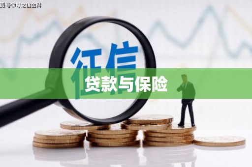 余庆贷款与保险