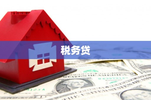 余庆税务贷