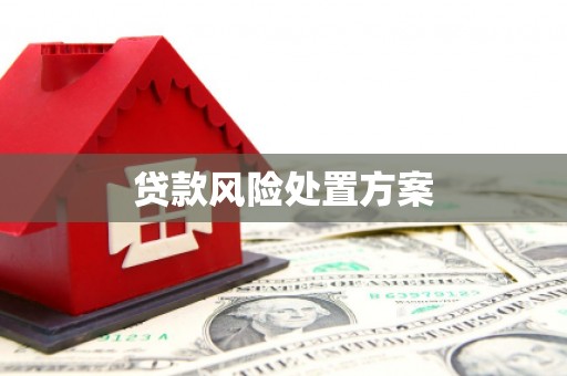 余庆贷款风险处置方案