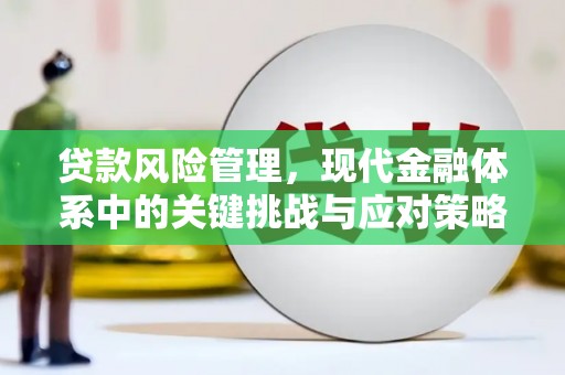 余庆贷款风险管理，现代金融体系中的关键挑战与应对策略