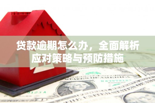 余庆贷款逾期怎么办，全面解析应对策略与预防措施