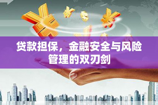 余庆贷款担保，金融安全与风险管理的双刃剑