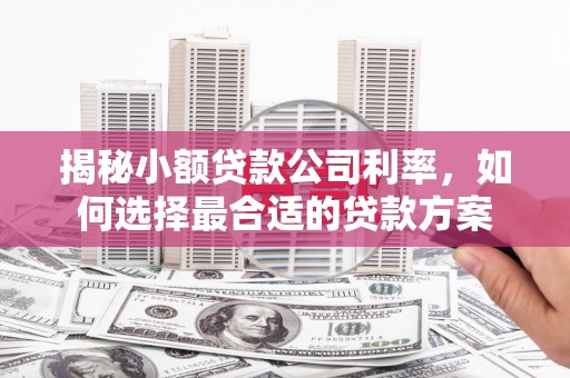 余庆揭秘小额贷款公司利率，如何选择最合适的贷款方案