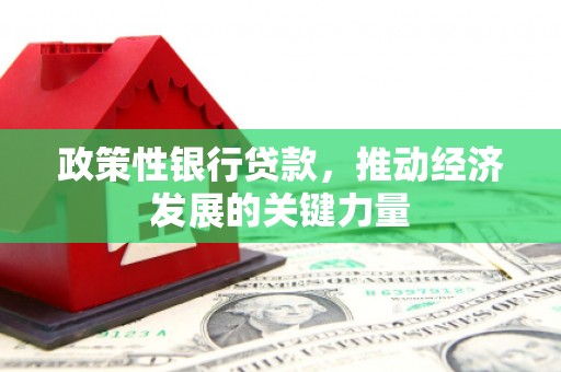 余庆政策性银行贷款，推动经济发展的关键力量