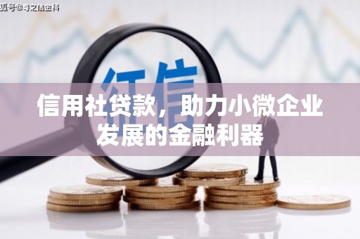 余庆信用社贷款，助力小微企业发展的金融利器