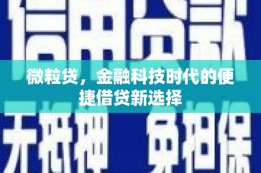 余庆微粒贷，金融科技时代的便捷借贷新选择