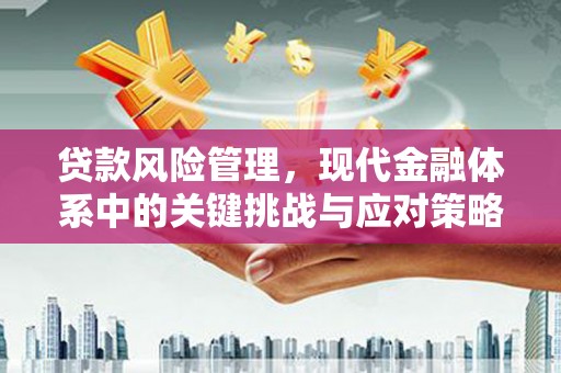 余庆贷款风险管理，现代金融体系中的关键挑战与应对策略