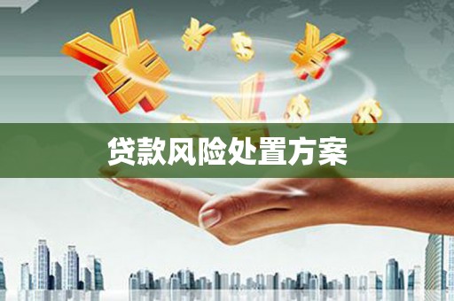 余庆贷款风险处置方案